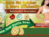 Garcinia Cambogia Extract Pure