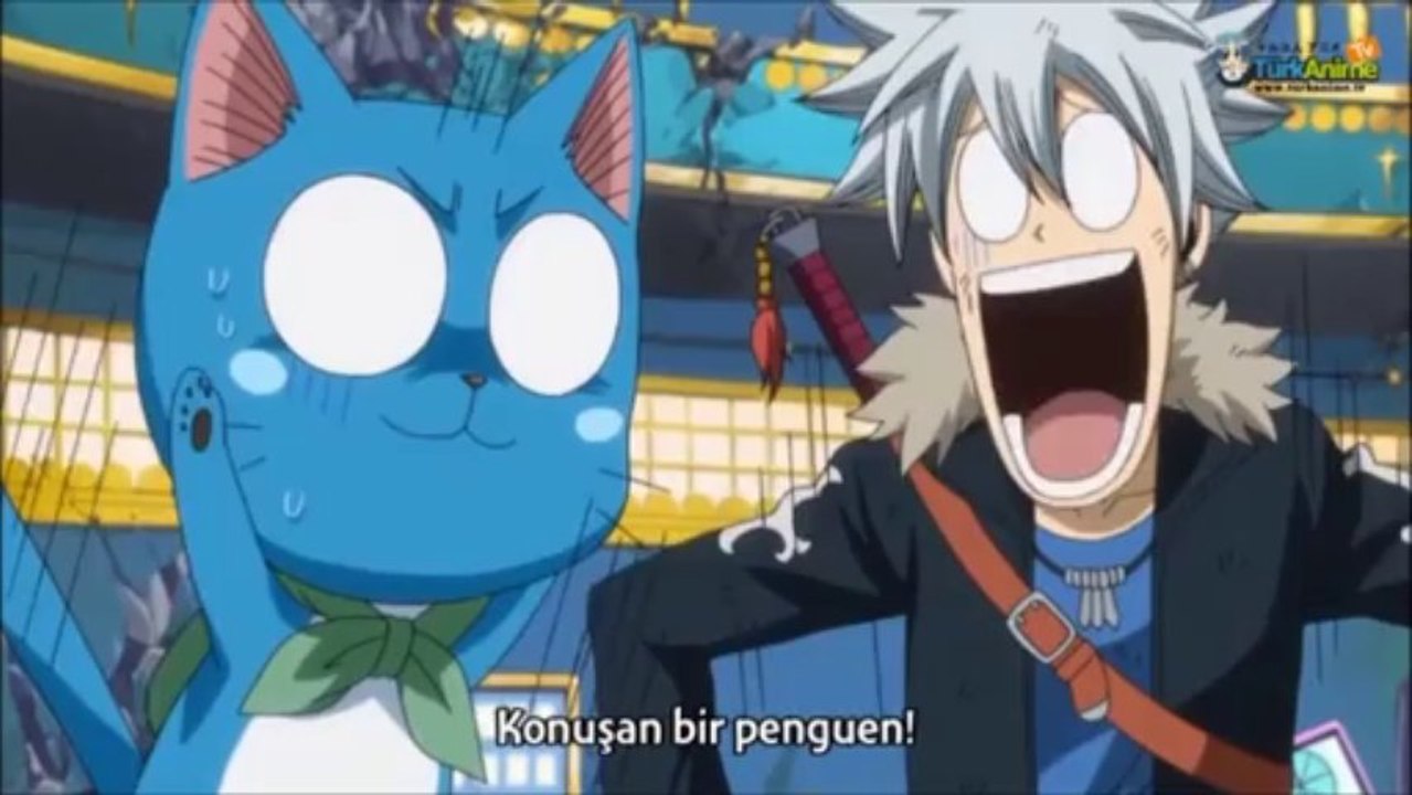 Konuşan Bir Kedi, Konuşan Bir Penguen...