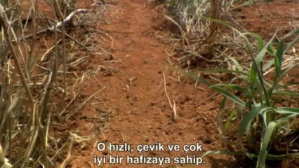 One Life: 2.Bölüm | TrSub | 720p |