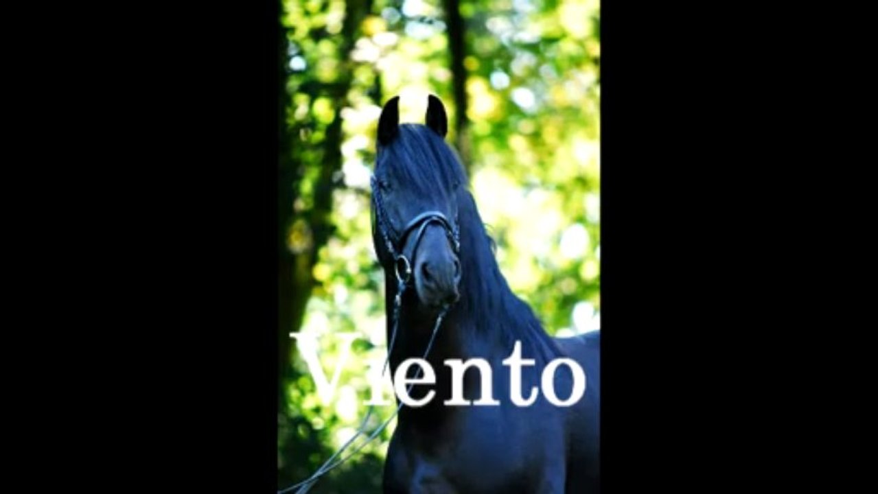 Viento XVI
