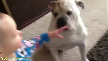 LA compilation de CHIEN à voir ABSOLUMENT... Trop drôle!