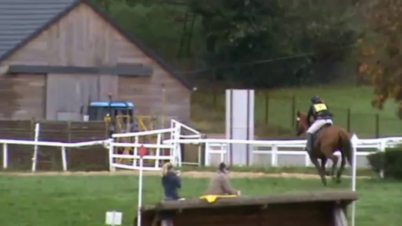 niki cross pompadour 2013