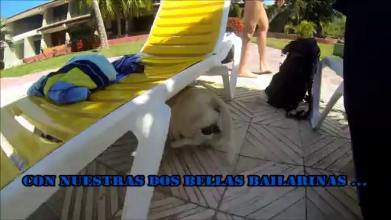 Presentation de nos séjours individuels EN MAI 2013 ET TOUTE L'ANNEE. WWW.DANSACUBA.COM