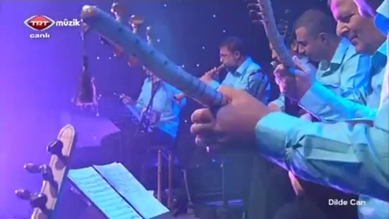 08 ismail altunsaray ayva turunç narım var 04.11.2013 dilde can