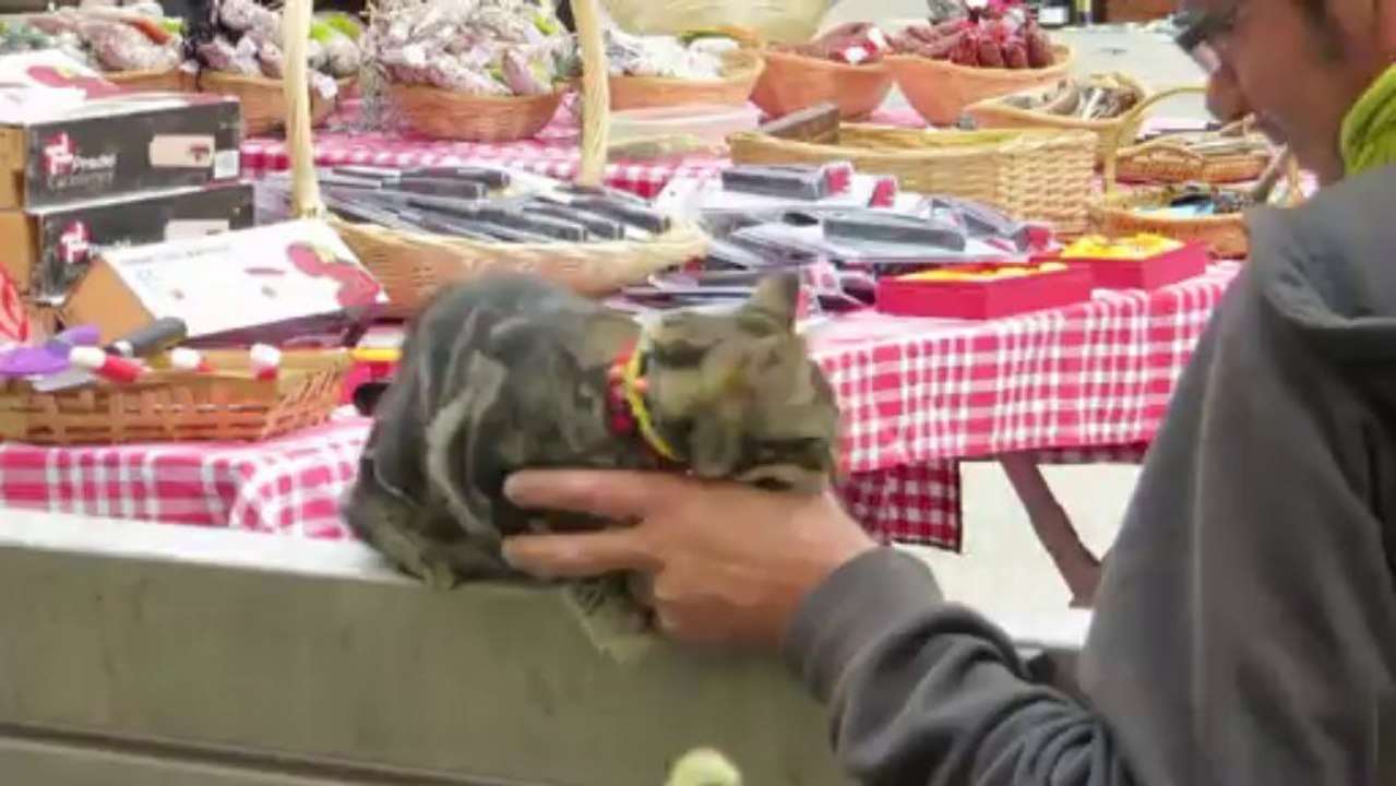 niort vide grenier sept 2013