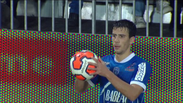 Stade Brestois 29 (SB29) - ESTAC Troyes (ESTAC) Le résumé du match (13ème journée) - 2013/2014