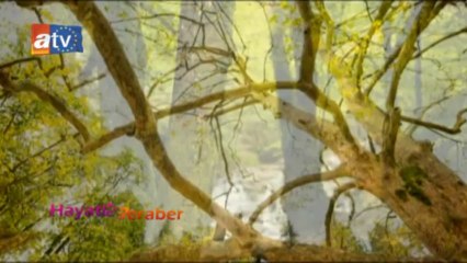 HAYATLA BERABER ALTINOVA BELEDİYESİ