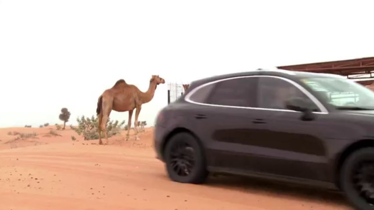The Porsche Macan goes surfing in the desert
