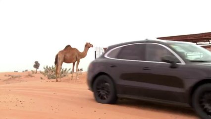 The Porsche Macan goes surfing in the desert