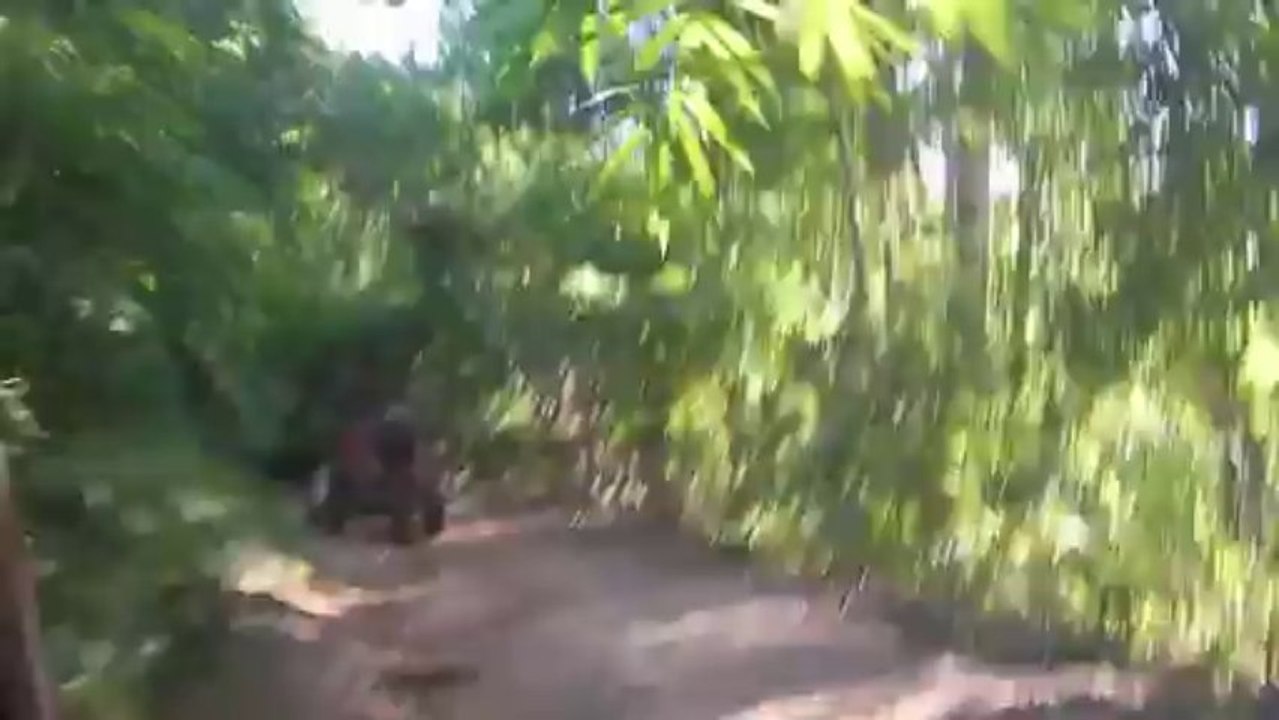 mae sa buggy trip 10'  1080p