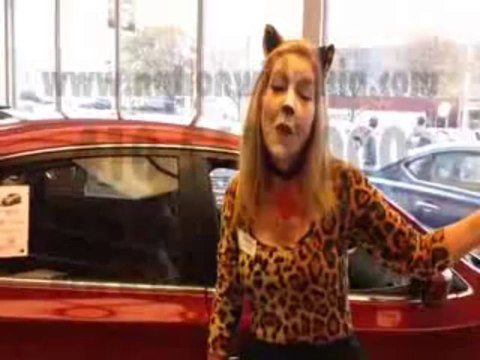 Best Kia Dealership in Owings Mills, MD| Where is the best place to buy a Kia near Owings Mills, MD