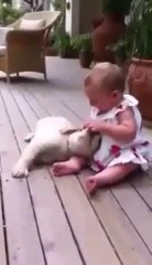 Puppy Cannot Contain His Excitement At Seeing Baby!