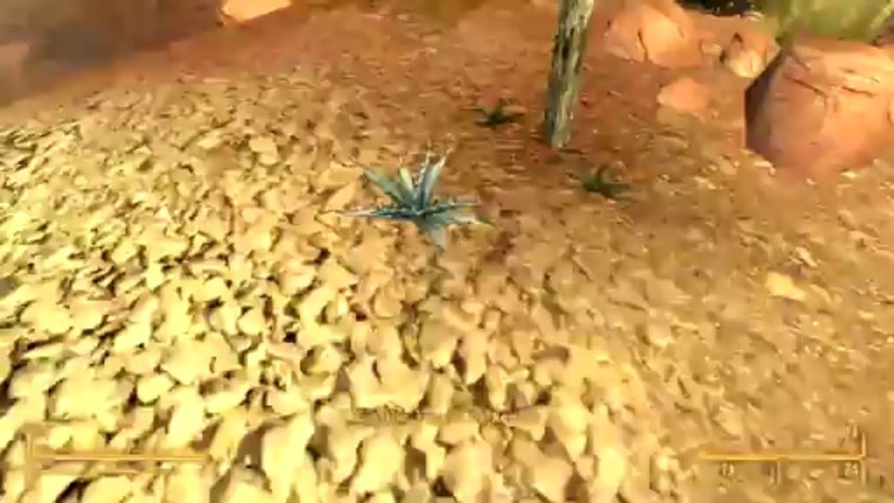 [PC] Fallout New Vegas - Partie 41 - Tête brûlée ! (Honest Hearts)