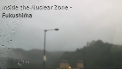 Man braves nuclear zone to save animals