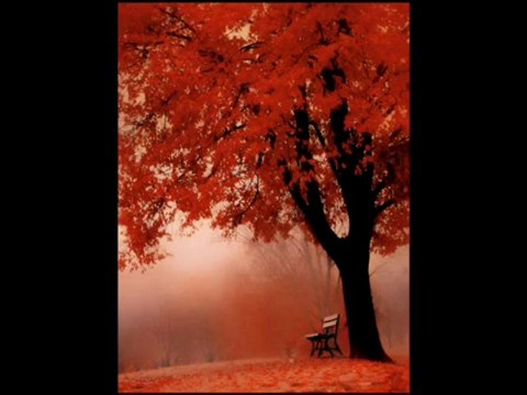 ERHAN GÜNDEM-NERDESİN