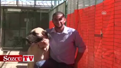 Sevimli dostlara huzurevi konforu