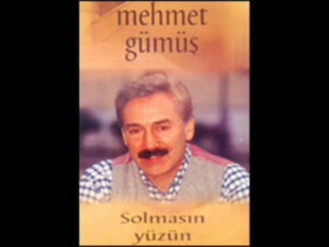 Mehmet Gümüş - ERZURUMDAN ÇEVİRDİLER YOLUMU