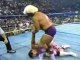 Ravishing Rick Rude vs Ric Flair-World Heavyweight Title (1)