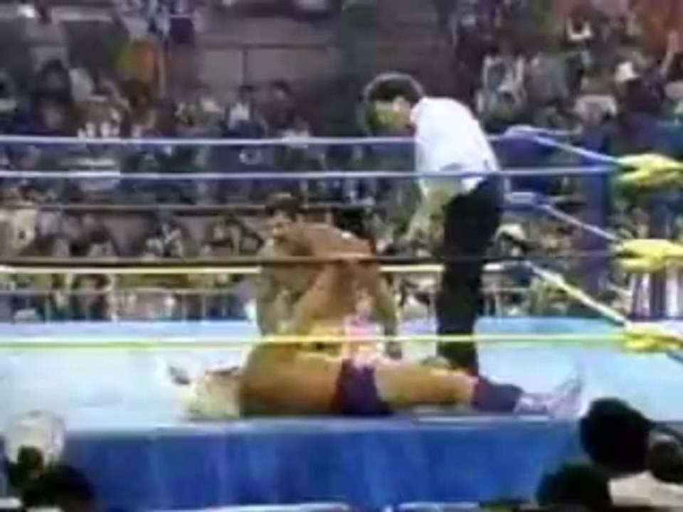 Ravishing Rick Rude vs Ric Flair-World Heavyweight Title (2)