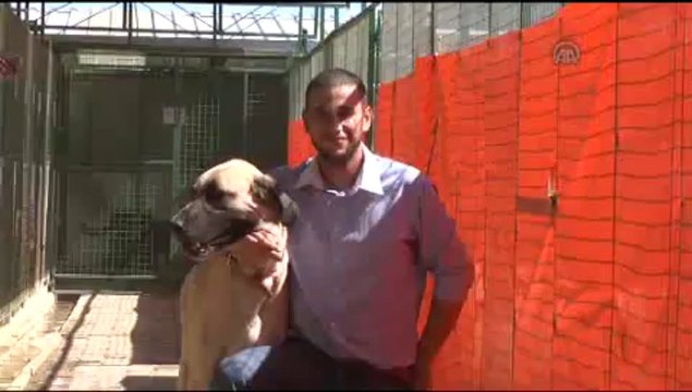 Sevimli dostlara huzurevi konforu