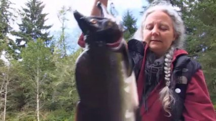 The Problem with Farmed Salmon | Global 3000