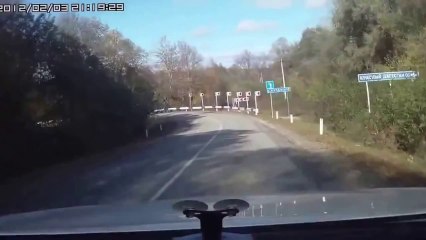 driver calmly crashes into river