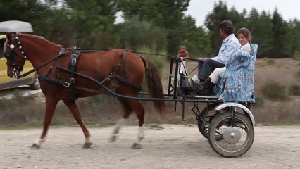 Passeio a Cavalo - Dorso Lusitano 10/2013