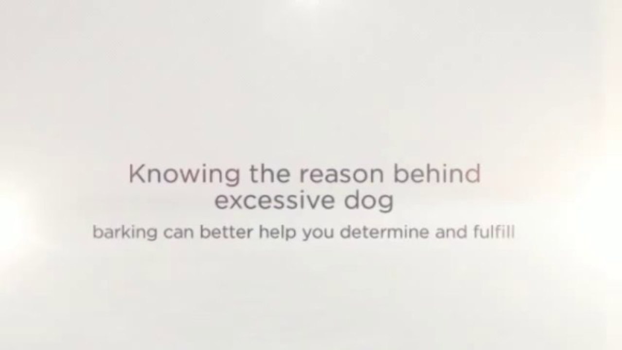 Dog Barking: Understanding the Reasons Behind It