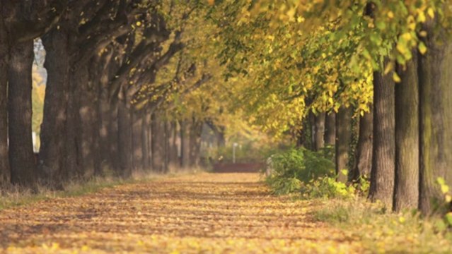 Flash Mode #11 : toute l’actu mode de la semaine !