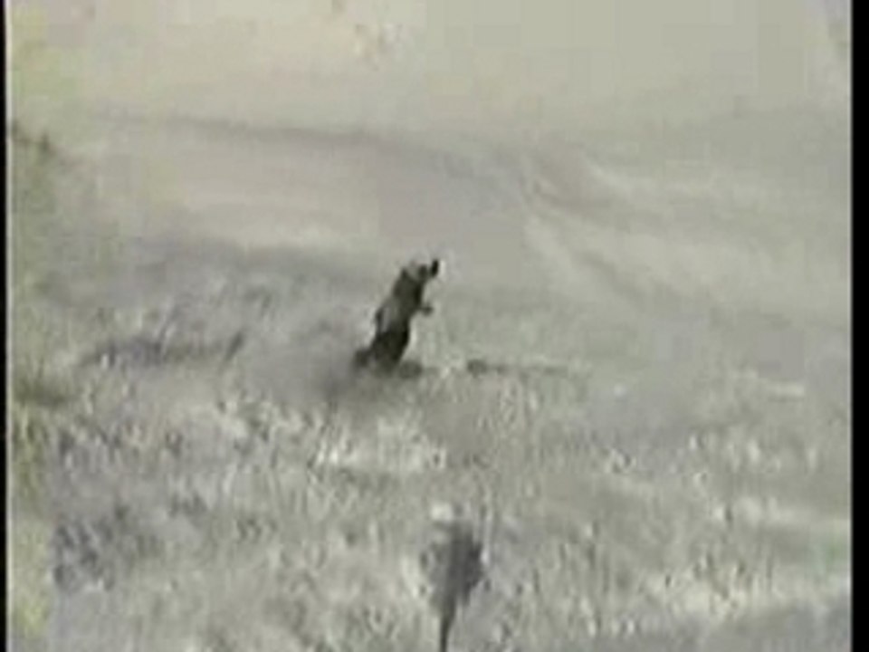 Freeride au carroz
