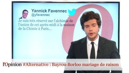 #tweetclash : #Alternative : Bayrou-Borloo un mariage de raison