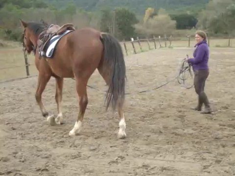 DEBOURRAGE - 5/11/13 - En longe bis