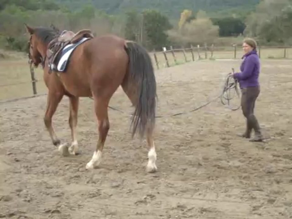 DEBOURRAGE - 5/11/13 - En longe bis