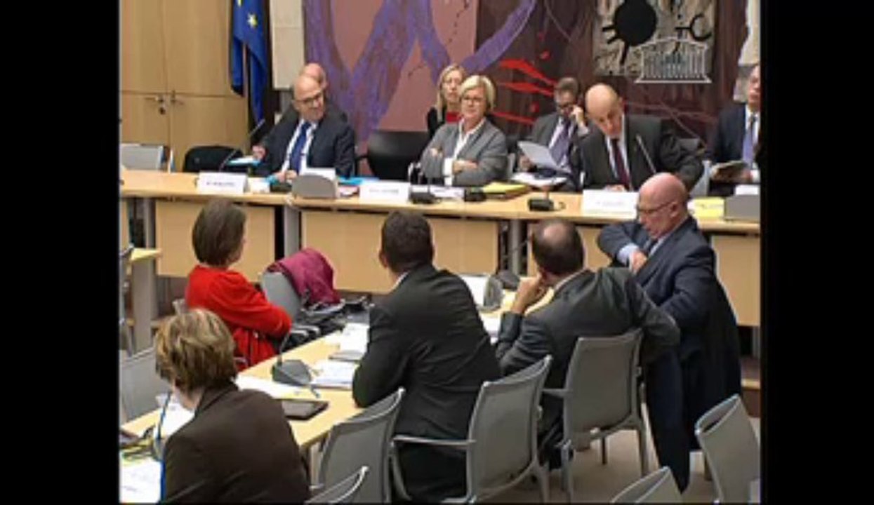 Debat investissements d'avenir avec L. Gallois