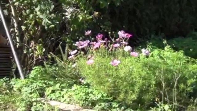 Genlis secteur maison 90m2 - Agence CARREZ immobilier