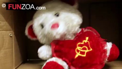 Gareeb Teddy Hun-Melodramatic Teddy Bear Begs For Subscriptions
