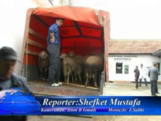 Spektri Info 05.11.2013