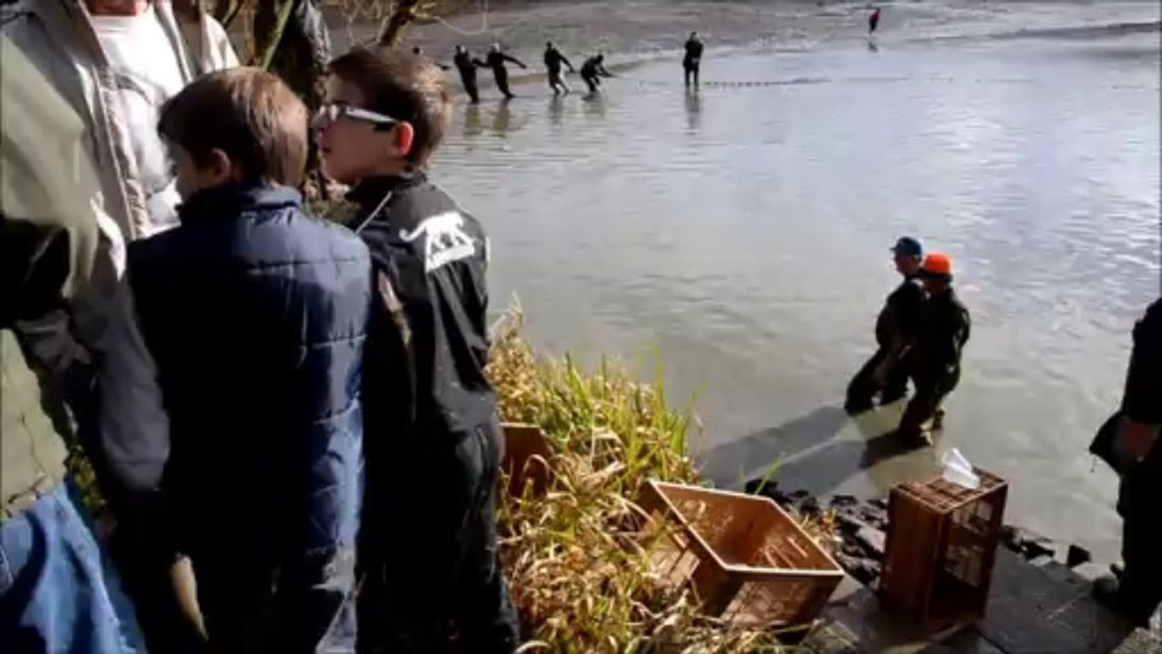 La pêche du gran étang. Arbigny novembre 2013