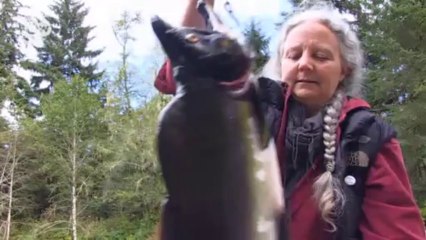 Acuicultura en Canadá: El salmón de cría perjudica al salmón salvaje. | Global 3000