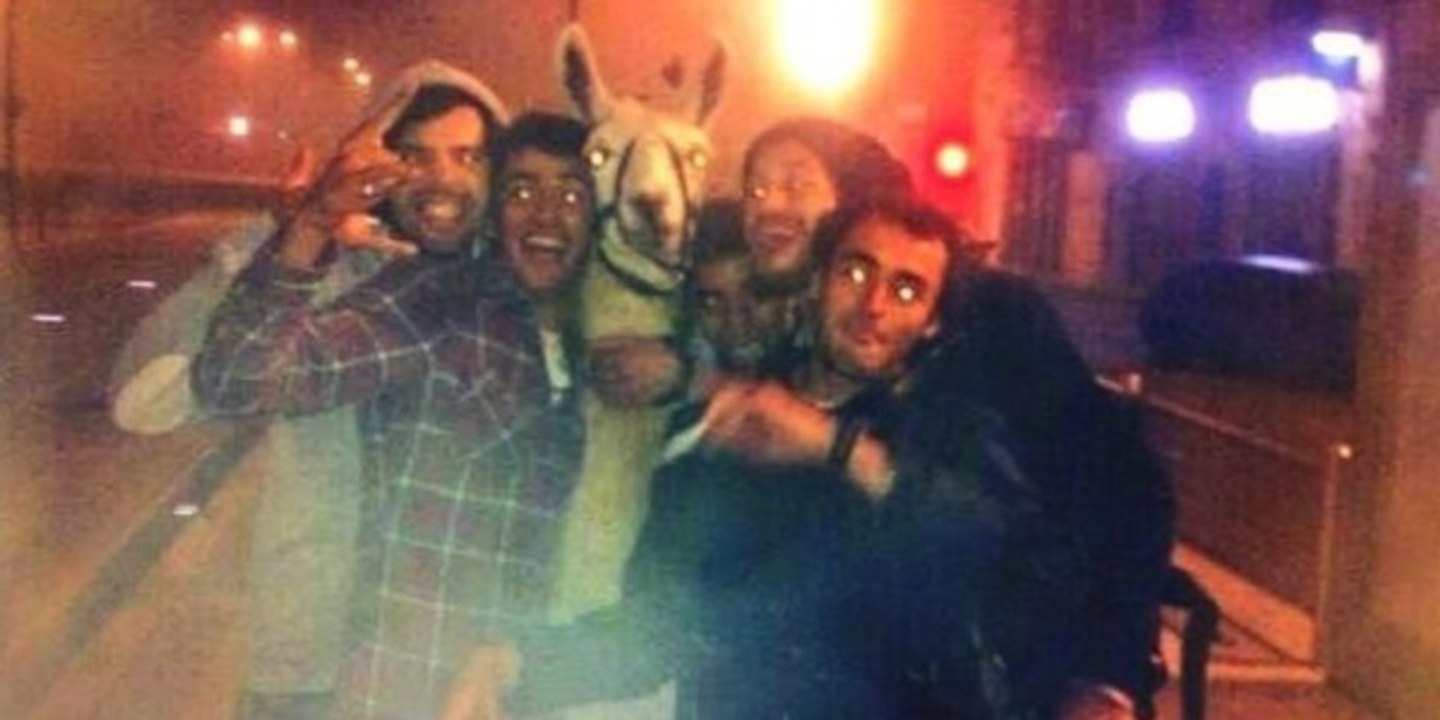 Le Lama du tramway de Bordeaux a retrouvé ses ravisseurs