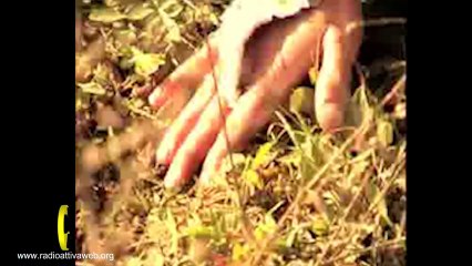 metallic k.o. quarta puntata