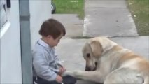 Viral Video boy and dog