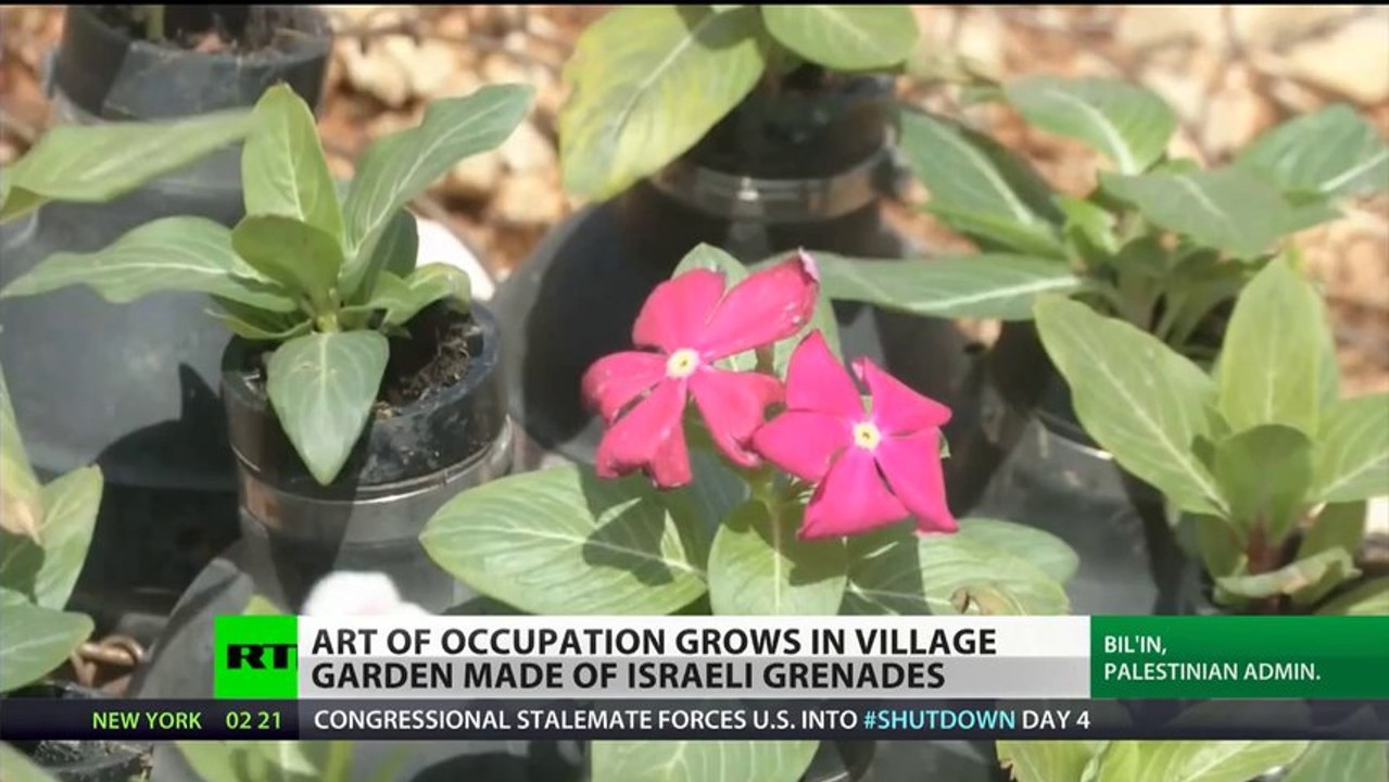 Art of Resistance: Palestinians plant flower garden in spent Israeli grenades