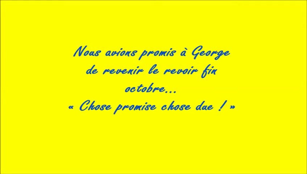 Chez George(Nice) 02