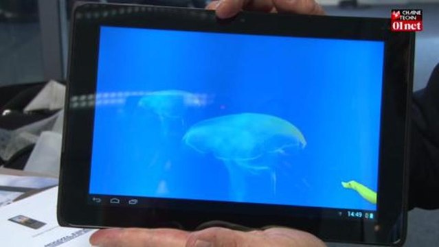 Une tablette 3D sans lunettes made in France