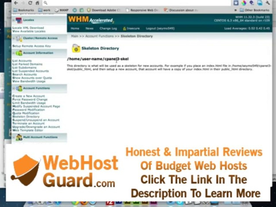 WHM and cPanel default holding pages - [HOSTING, TUTORIAL]