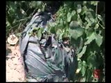 TG 05.11.13 Traffico dei rifiuti in Puglia, Nicastro