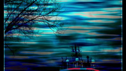 Fikrimin ince gülü - Ceylan Ertem