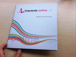 carpetas personalizadas