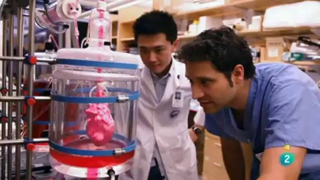 Fabricar un corazón con celulas madre (Stem Cells)